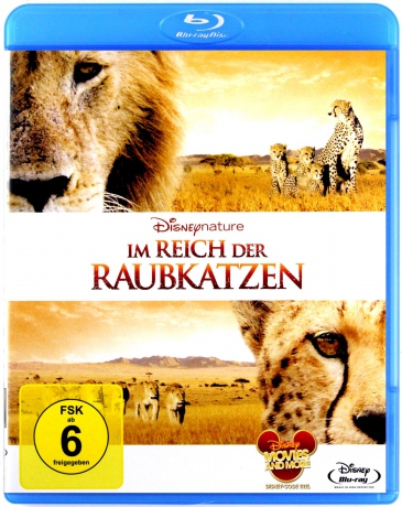 African Cats (Afrykańskie koty)