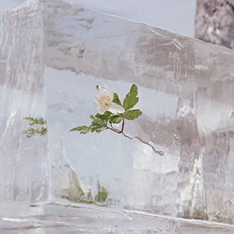 Efterklang: Windflowers [CD]