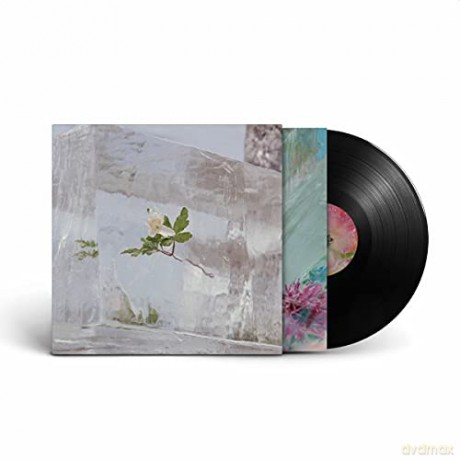 Efterklang: Windflowers [Winyl]