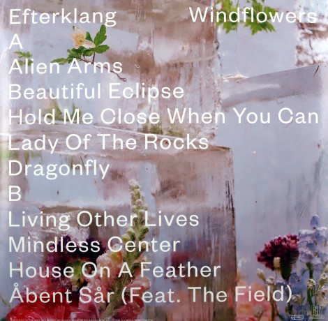 Efterklang: Windflowers (Limited) [Winyl]
