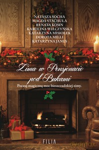 Zima w Pensjonacie pod Bukami [KSIĄŻKA]
