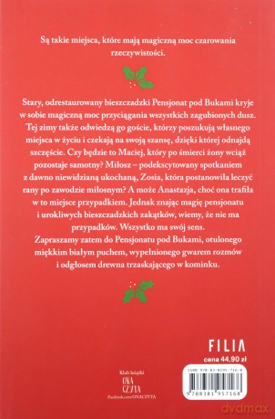 Zima w Pensjonacie pod Bukami [KSIĄŻKA]