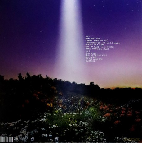 Honne: Let's Just Say The World Ended A Week From Now, What Would You Do? (Crystal Clear) [Winyl]