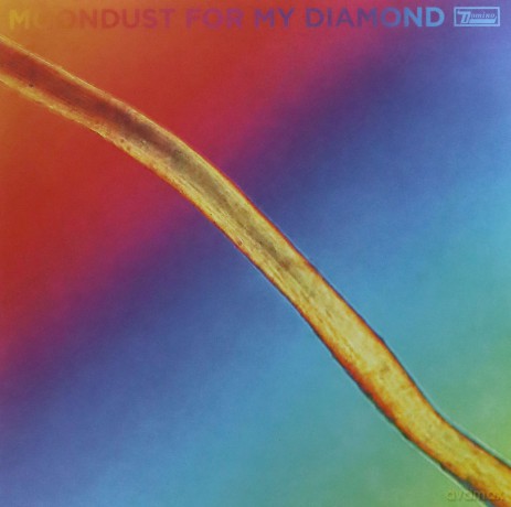 Hayden Thorpe: Moondust For My Diamond [Winyl]