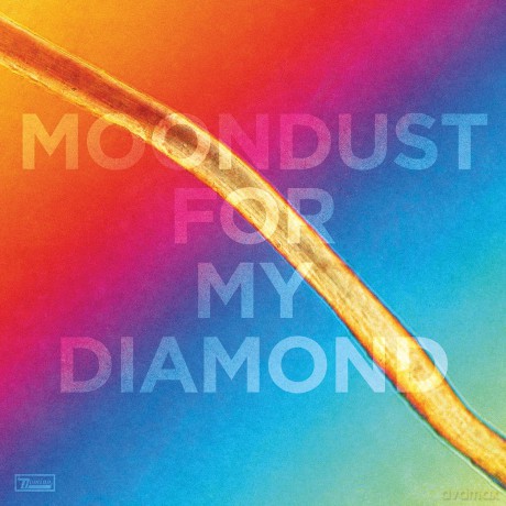 Hayden Thorpe: Moondust For My Diamond (Limited) [Winyl]