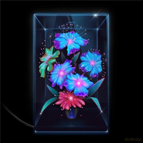 Xenia Rubinos: Una Rosa [CD]