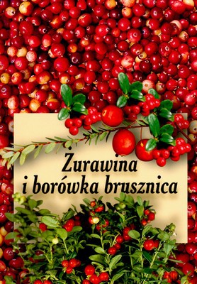 Żurawina I Borówka Brusznica (broszurowa) [KSIĄŻKA]