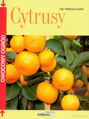 Cytrusy Owocowy Ogród - Katarzyna Goller [KSIĄŻKA]