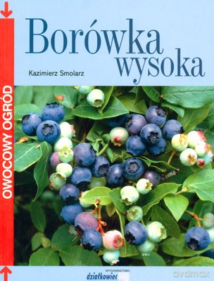 Borówka Wysoka - Kazimierz Smolarz [KSIĄŻKA]