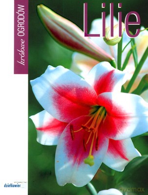 Lilie Królowe Ogrodów [KSIĄŻKA]