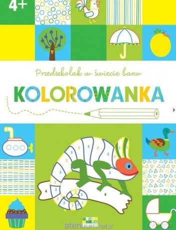 Przedszkolak w świecie barw. Kolorowanka 4+ [KSIĄŻKA]