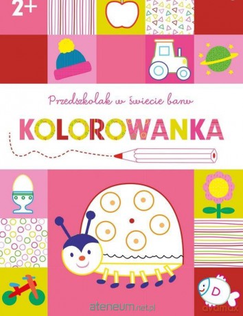 Przedszkolak w świecie barw. Kolorowanka 2+ [KSIĄŻKA]