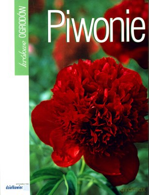 Piwonie (twarda) - B.Mika [KSIĄŻKA]