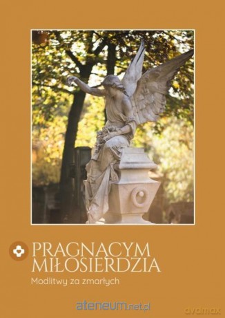 Pragnącym miłosierdzia. Modlitwy za zmarłych - Łukasz Ogórek [KSIĄŻKA]