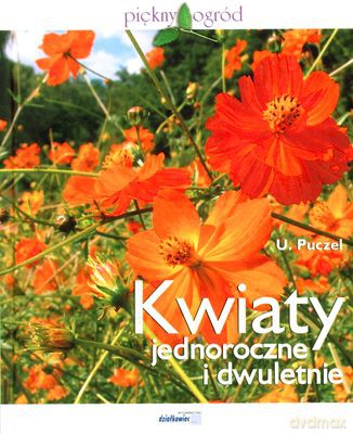 Kwiaty Jednoroczne I Dwuletnie (twarda) - Dr Urszula Puczel [KSIĄŻKA]