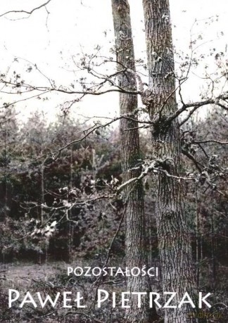 Pozostałości - Paweł Pietrzak [KSIĄŻKA]