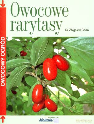 Owocowe Rarytasy - Zbigniew Gruca [KSIĄŻKA]