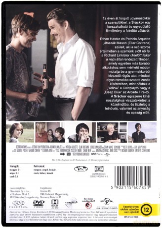 Boyhood (Platinum Collection) [DVD]