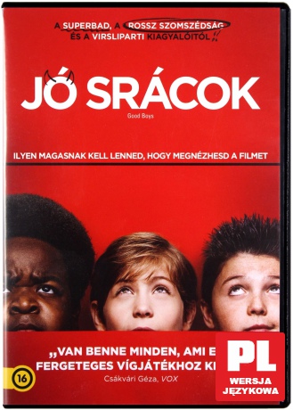 Grzeczni chłopcy [DVD]