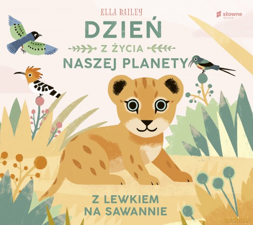 Z lewkiem na sawannie. Dzień z życia naszej planety - Ella Bailey [KSIĄŻKA]