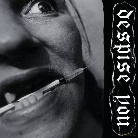 Despise You: West Side Horizons [CD]