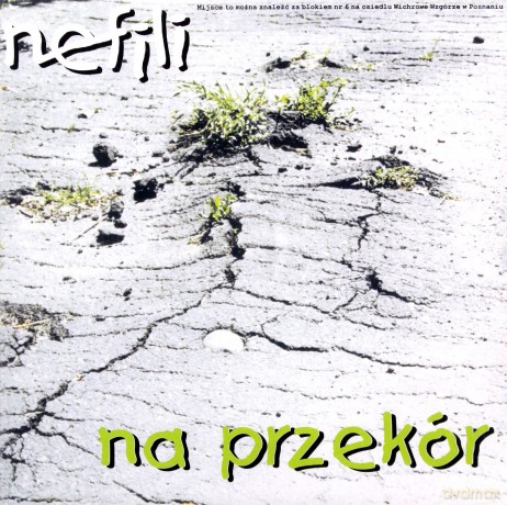 Nefili: Na Przekór [CD]