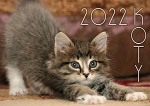 Kalendarz 2022 Koty KA2 [KALENDARZ]