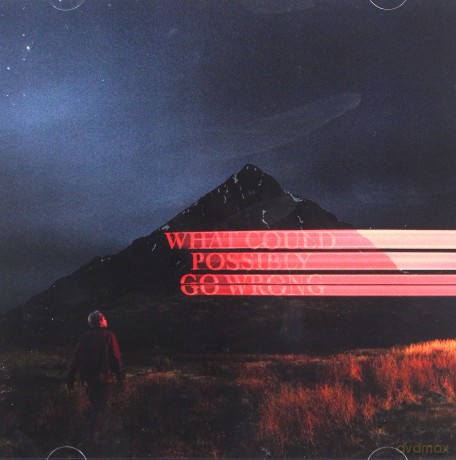 Dominic Fike: What Could Possibly Go Wrong [CD]