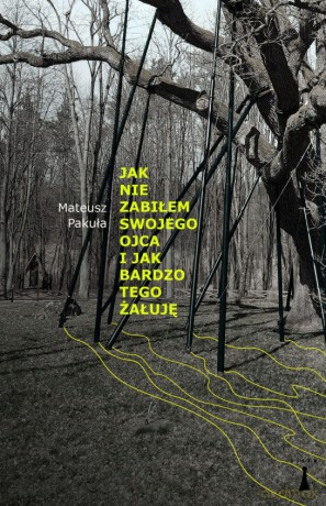 Jak nie zabiłem swojego ojca i jak bardzo tego żałuję - Mateusz Pakuła [KSIĄŻKA]