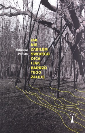 Jak nie zabiłem swojego ojca i jak bardzo tego żałuję - Mateusz Pakuła [KSIĄŻKA]