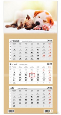 Kalendarz ścienny 2022 trójdzielny Pies i Kot [KALENDARZ]