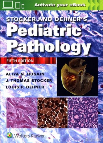 Stocker and Dehner's Pediatric Pathology Fifth edition - N. Husain Aliya, P. Dehner Louis [KSIĄŻKA]