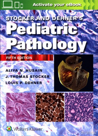 Stocker and Dehner's Pediatric Pathology Fifth edition - N. Husain Aliya, P. Dehner Louis [KSIĄŻKA]