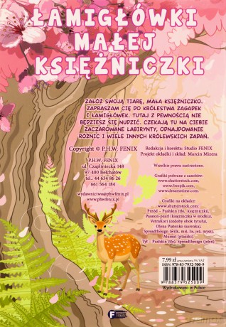 Łamigłówki małej księżniczki [KSIĄŻKA]