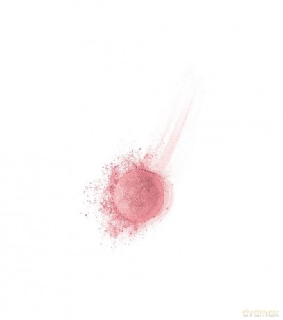 Bourjois Róż do policzków Pastel Joues 34 Rose D`or 2.5g