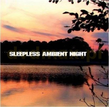 Sleepless Ambient Night [CD]
