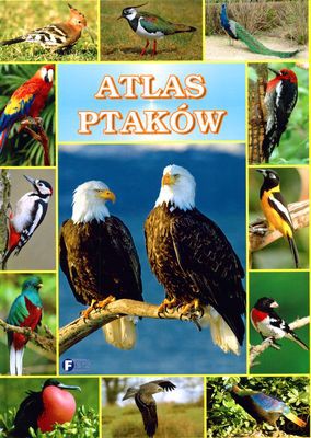 Atlas Ptaków (twarda) [KSIĄŻKA]
