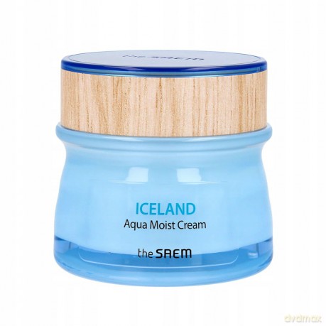 SAEM ICELAND AQUA Moist Cream