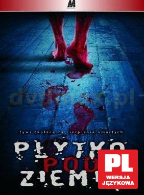 Płytko pod ziemią [VCD]