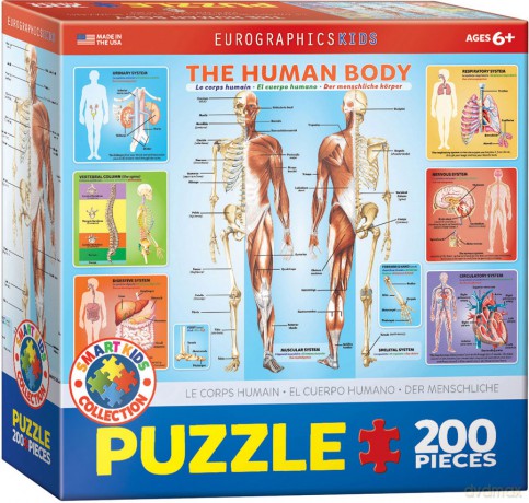 EUROGRAPHICS 100 el. Smartkids The Human Body 6200-1000 [PUZZLE]