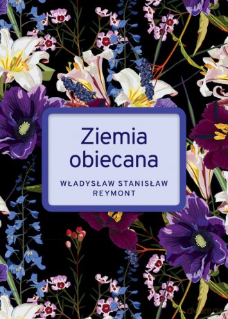 Ziemia Obiecana wyd. specjalne - Władysław Stanisław Reymont [KSIĄŻKA]