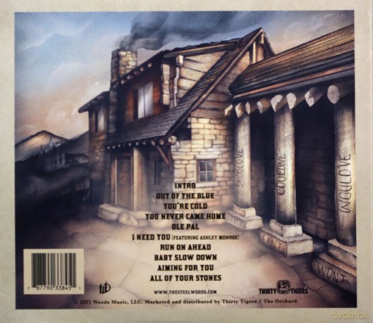 The Steel Woods: All Of Your Stones  [CD]