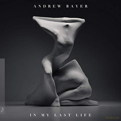 Andrew Bayer: Andrew Bayer - In My Last Life [Winyl]