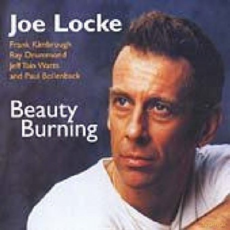Joe Locke: Beauty Burning [CD]