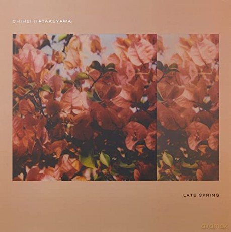 Chihei Hatakeyama: Late Spring [Winyl]
