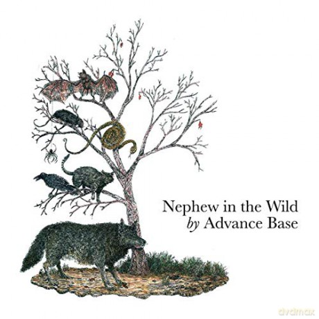 Advance Base: Nephew In The Wild [CD]