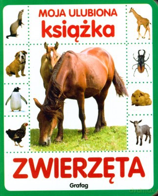 Moja Ulubiona Książka Zwierzęta (twarda) [KSIĄŻKA]