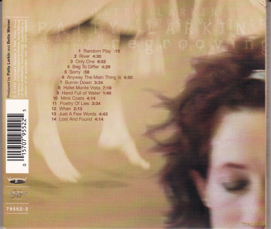 Patty Larkin: Regrooving the Dream [CD]