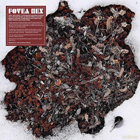 Fovea Hex: Salt Garden (Clear) [Winyl]