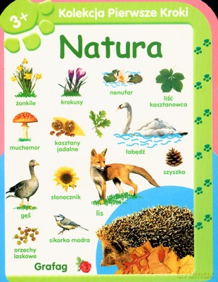 Kolekcja Pierwsze Kroki Natura (twarda) [KSIĄŻKA]